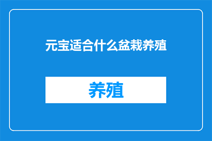 元宝适合什么盆栽养殖