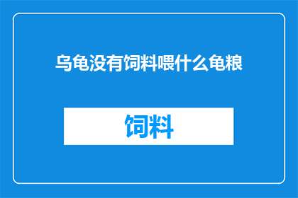 乌龟没有饲料喂什么龟粮