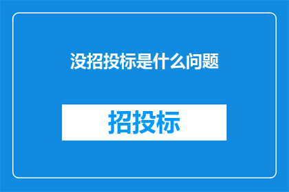 没招投标是什么问题