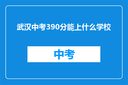 武汉中考390分能上什么学校