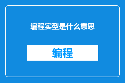编程实型是什么意思