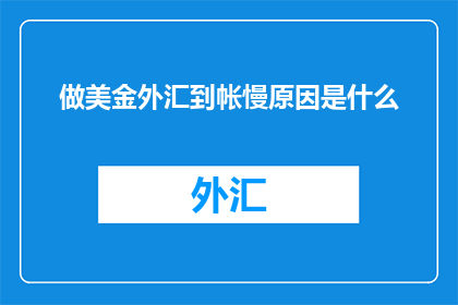 做美金外汇到帐慢原因是什么
