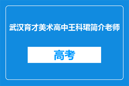 武汉育才美术高中王科珺简介老师