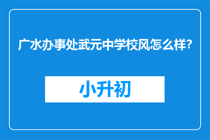 广水办事处武元中学校风怎么样？
