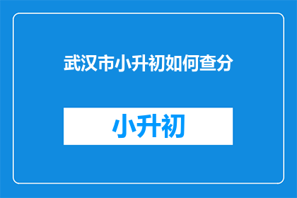 武汉市小升初如何查分