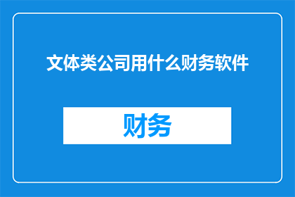 文体类公司用什么财务软件