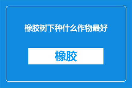 橡胶树下种什么作物最好