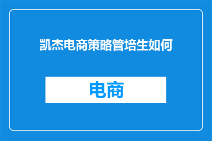 凯杰电商策略管培生如何
