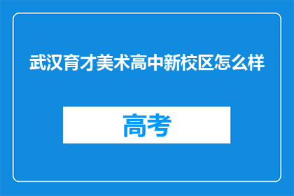 武汉育才美术高中新校区怎么样