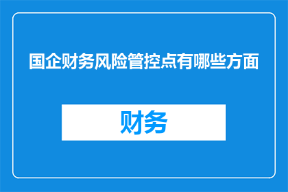 国企财务风险管控点有哪些方面