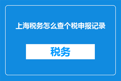 上海税务怎么查个税申报记录
