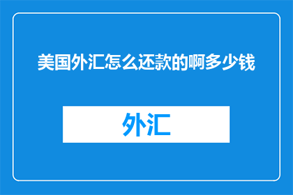 美国外汇怎么还款的啊多少钱