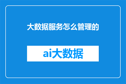 大数据服务怎么管理的