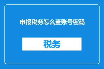 申报税务怎么查账号密码