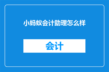 小蚂蚁会计助理怎么样