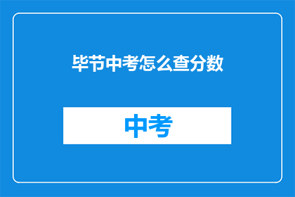 毕节中考怎么查分数