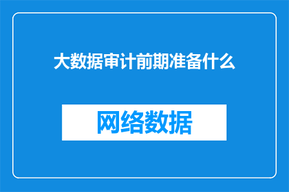 大数据审计前期准备什么