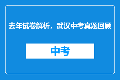 去年试卷解析，武汉中考真题回顾