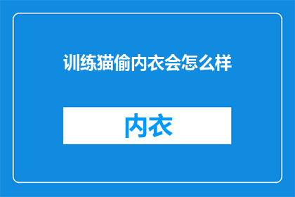 训练猫偷内衣会怎么样