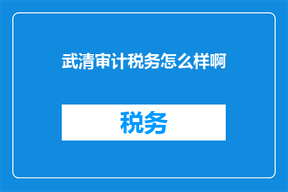 武清审计税务怎么样啊