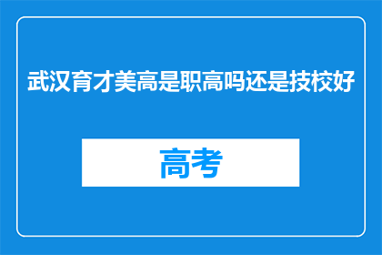 武汉育才美高是职高吗还是技校好