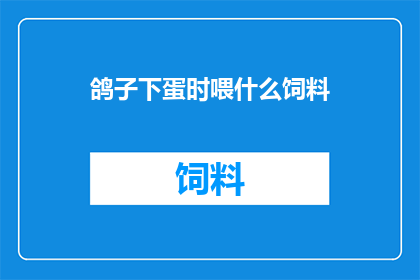鸽子下蛋时喂什么饲料