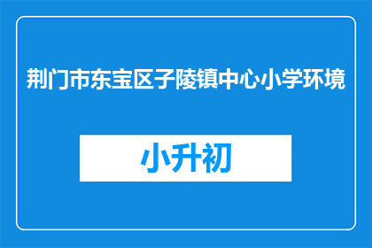 荆门市东宝区子陵镇中心小学环境