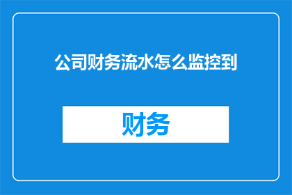 公司财务流水怎么监控到