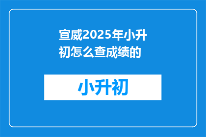 宣威2025年小升初怎么查成绩的