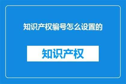 知识产权编号怎么设置的