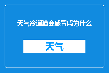 天气冷遛猫会感冒吗为什么
