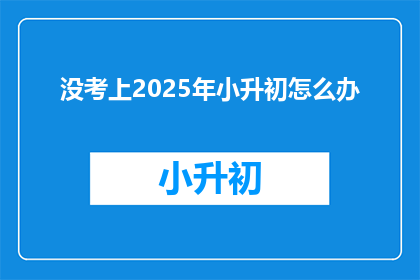 没考上2025年小升初怎么办