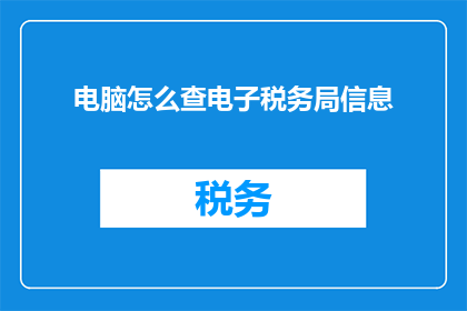 电脑怎么查电子税务局信息