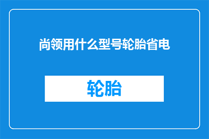 尚领用什么型号轮胎省电