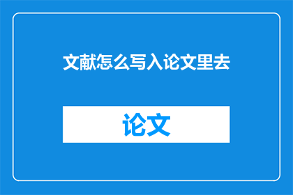 文献怎么写入论文里去
