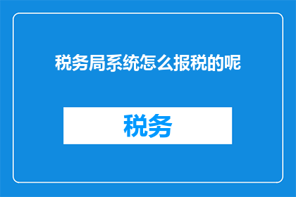 税务局系统怎么报税的呢