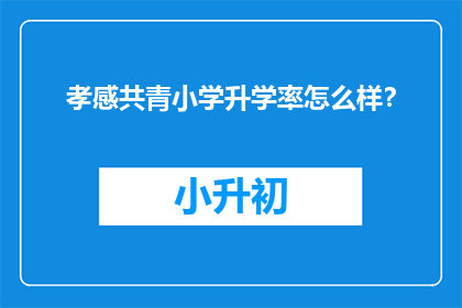 孝感共青小学升学率怎么样？