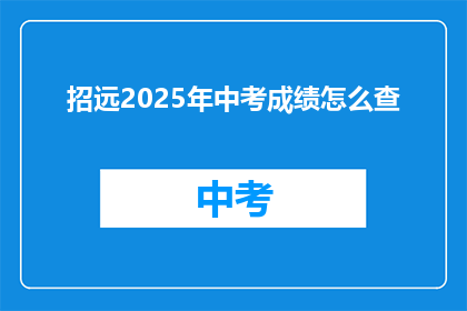 招远2025年中考成绩怎么查