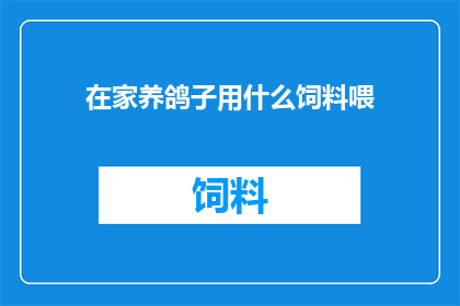 在家养鸽子用什么饲料喂