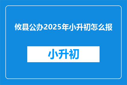 攸县公办2025年小升初怎么报