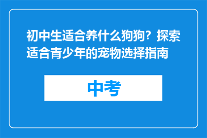 初中生适合养什么狗狗？探索适合青少年的宠物选择指南