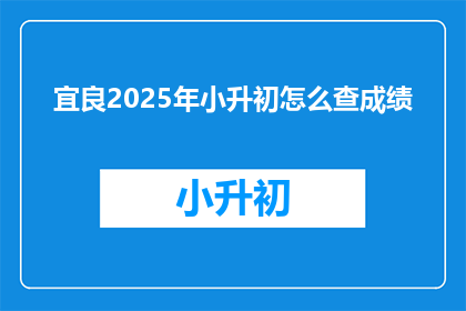 宜良2025年小升初怎么查成绩