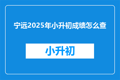 宁远2025年小升初成绩怎么查