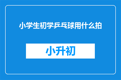 小学生初学乒乓球用什么拍