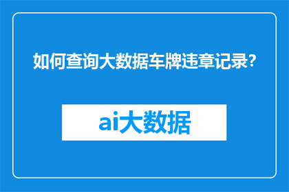 如何查询大数据车牌违章记录？
