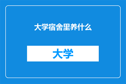 大学宿舍里养什么