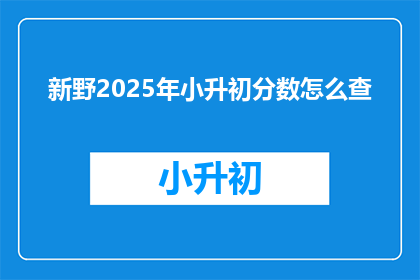 新野2025年小升初分数怎么查