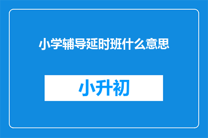 小学辅导延时班什么意思