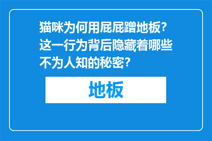 猫咪为何用屁屁蹭地板？这一行为背后隐藏着哪些不为人知的秘密？