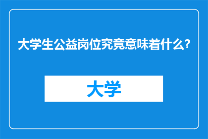 大学生公益岗位究竟意味着什么？